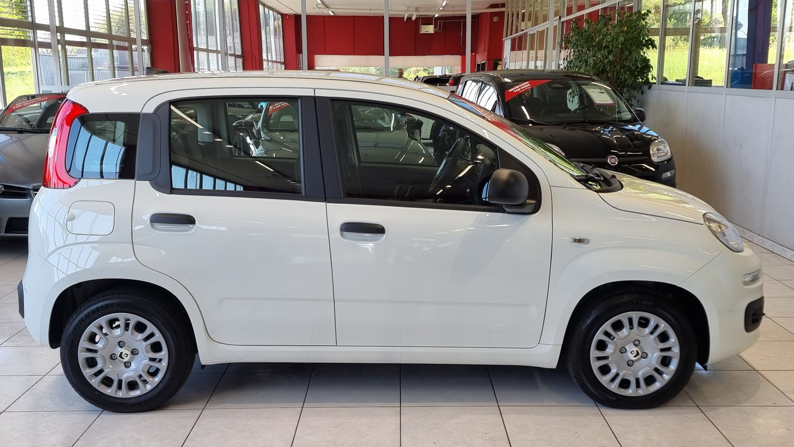 FIAT Panda 1.0 Hybrid City Life, Hybride Léger Essence/Électricité, Voiture nouvelle, Manuelle - 7