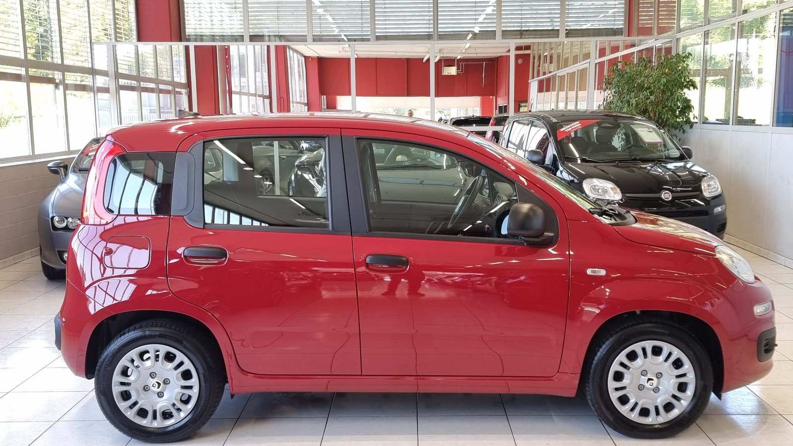 FIAT Panda 1.0 Hybrid City Life, Hybride Leggero Benzina/Elettrica, Auto nuove, Manuale - 7