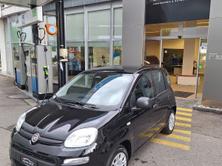 FIAT Panda 1.0 Hybrid City Life, Hybride Leggero Benzina/Elettrica, Auto nuove, Manuale - 2