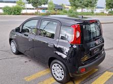 FIAT Panda 1.0 Hybrid City Life, Hybride Leggero Benzina/Elettrica, Auto nuove, Manuale - 3