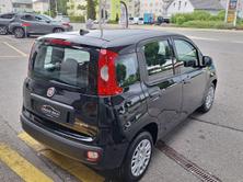 FIAT Panda 1.0 Hybrid City Life, Hybride Leggero Benzina/Elettrica, Auto nuove, Manuale - 5