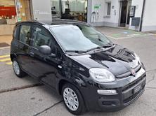 FIAT Panda 1.0 Hybrid City Life, Hybride Leggero Benzina/Elettrica, Auto nuove, Manuale - 6