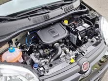 FIAT Panda 1.0 Hybrid City Life, Hybride Leggero Benzina/Elettrica, Auto nuove, Manuale - 7