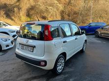 FIAT PANDA 0.9 T TwinAir Lounge S/S Dual., Benzin, Occasion / Gebraucht, Automatik - 5