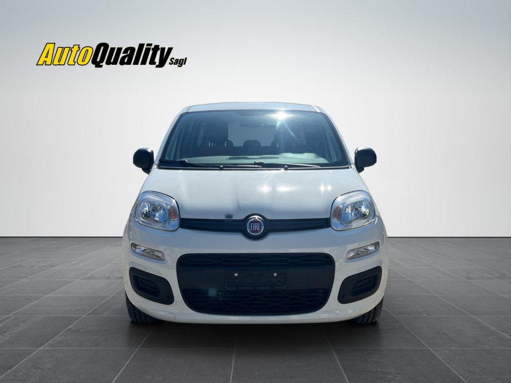 FIAT PANDA 1.2 69 Cool, Essence, Occasion / Utilisé, Manuelle - 2