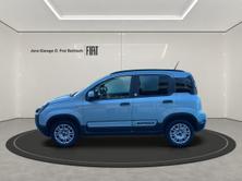 FIAT Panda 1.0 Hybrid Launch Edition, Mild-Hybrid Benzin/Elektro, Occasion / Gebraucht, Handschaltung - 3