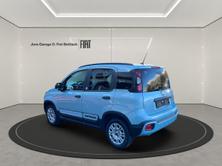 FIAT Panda 1.0 Hybrid Launch Edition, Mild-Hybrid Benzin/Elektro, Occasion / Gebraucht, Handschaltung - 4