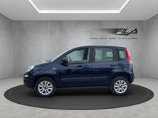 FIAT PANDA 0.9 T TwinAir NP Easy, Natural Gas (CNG) / Petrol, Second hand / Used, Manual - 3