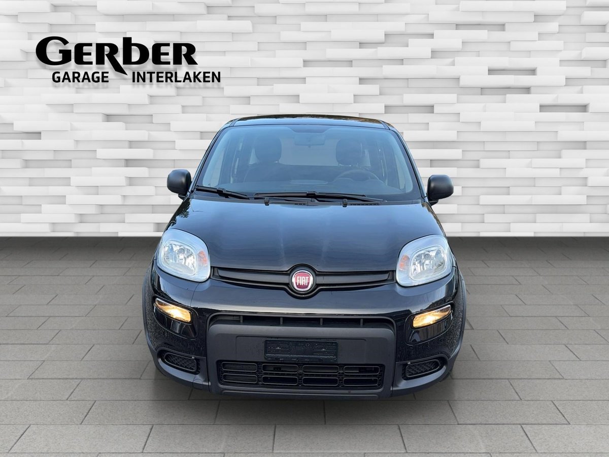 FIAT Panda 1.0 Hybrid, Hybride Léger Essence/Électricité, Occasion / Utilisé, Manuelle - 2