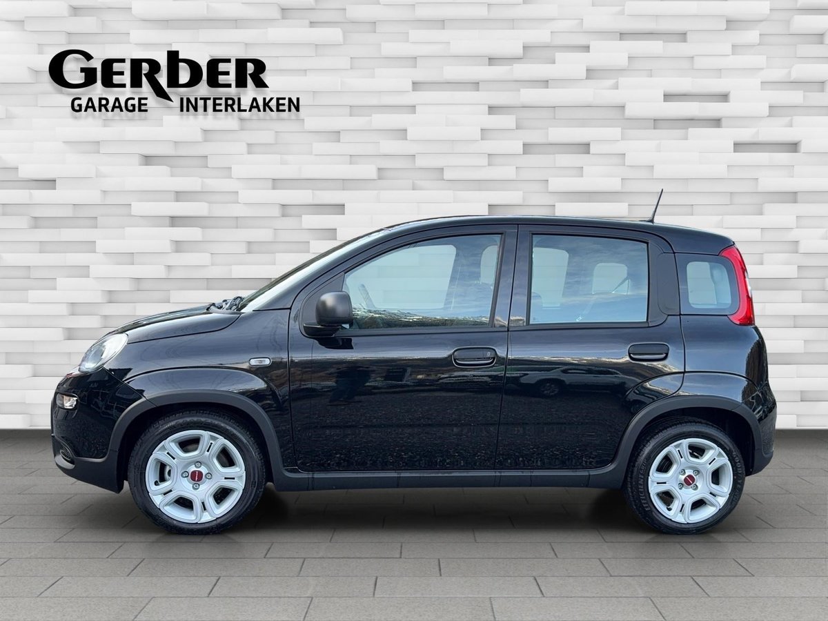 FIAT Panda 1.0 Hybrid, Hybride Léger Essence/Électricité, Occasion / Utilisé, Manuelle - 3