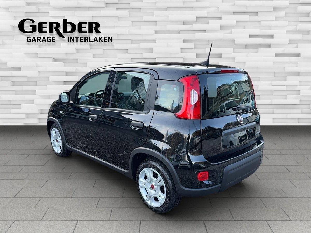 FIAT Panda 1.0 Hybrid, Hybride Léger Essence/Électricité, Occasion / Utilisé, Manuelle - 4