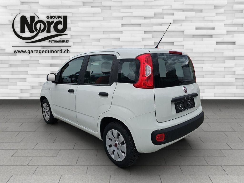 FIAT Panda 1.2 69 Easy, Essence, Occasion / Utilisé, Manuelle - 3