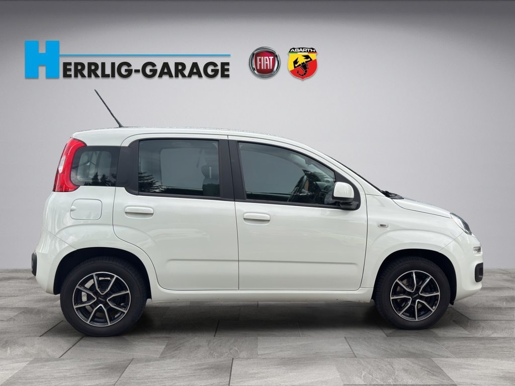FIAT Panda 0.9 T TwinAir Easy S/S, Benzina, Occasioni / Usate, Manuale - 6