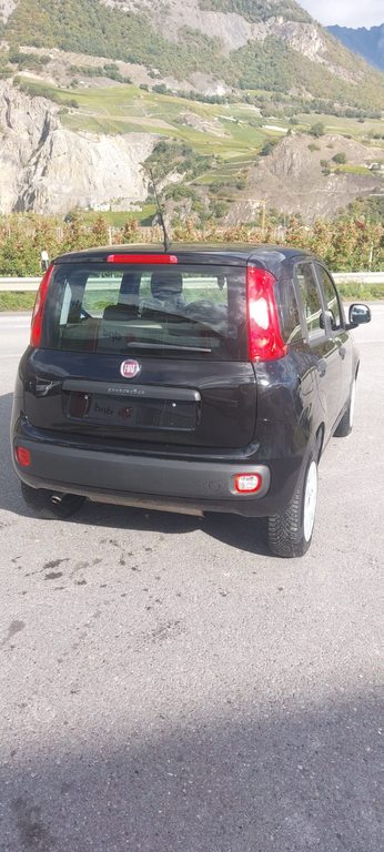 FIAT Panda 0.9 T TwinAir NP Easy, Natural Gas (CNG) / Petrol, Second hand / Used, Manual - 4