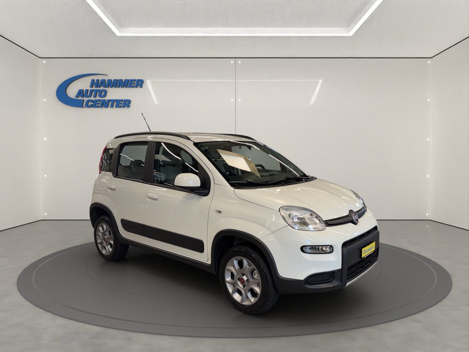 FIAT Panda 1.3 JTD Pop 4x4 S/S, Diesel, Occasion / Gebraucht, Handschaltung - 7