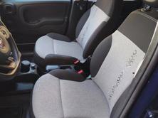 FIAT Panda 0.9 T TwinAir Lounge S/S Dual., Essence, Occasion / Utilisé, Automatique - 3