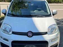 FIAT Panda 0.9 T TwinAir NP Easy, Erdgas (CNG) / Benzin, Occasion / Gebraucht, Handschaltung - 2
