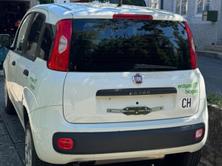 FIAT Panda 0.9 T TwinAir NP Easy, Erdgas (CNG) / Benzin, Occasion / Gebraucht, Handschaltung - 3