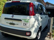 FIAT Panda 0.9 T TwinAir NP Easy, Erdgas (CNG) / Benzin, Occasion / Gebraucht, Handschaltung - 4
