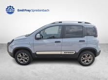 FIAT Panda 1.3 JTD Cross 4x4 S/S, Diesel, Occasioni / Usate, Manuale - 2