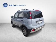 FIAT Panda 1.3 JTD Cross 4x4 S/S, Diesel, Occasioni / Usate, Manuale - 3