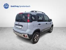 FIAT Panda 1.3 JTD Cross 4x4 S/S, Diesel, Occasioni / Usate, Manuale - 5