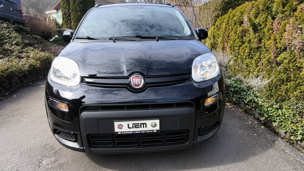 FIAT Panda 1.0 Hybrid City Life, Mild-Hybrid Benzin/Elektro, Occasion / Gebraucht, Handschaltung - 2