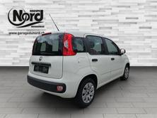 FIAT Panda 1.2 69 Easy, Benzina, Occasioni / Usate, Manuale - 2