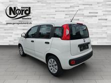 FIAT Panda 1.2 69 Easy, Benzina, Occasioni / Usate, Manuale - 3