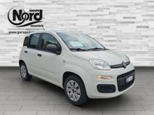 FIAT Panda 1.2 69 Easy, Benzina, Occasioni / Usate, Manuale - 4