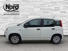 FIAT Panda 1.2 69 Easy, Benzina, Occasioni / Usate, Manuale - 5