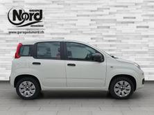 FIAT Panda 1.2 69 Easy, Benzina, Occasioni / Usate, Manuale - 6