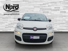 FIAT Panda 1.2 69 Easy, Benzina, Occasioni / Usate, Manuale - 7