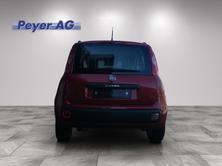 FIAT Panda 1.2 69 Lounge, Benzin, Occasion / Gebraucht, Handschaltung - 2