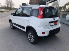 FIAT Panda 0.9 TA 4x4 Climbing, Essence, Occasion / Utilisé, Manuelle - 3