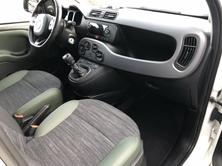 FIAT Panda 0.9 TA 4x4 Climbing, Essence, Occasion / Utilisé, Manuelle - 7
