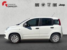 FIAT Panda 1.2 69 Cool, Benzin, Occasion / Gebraucht, Handschaltung - 3
