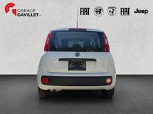 FIAT Panda 1.2 69 Cool, Benzin, Occasion / Gebraucht, Handschaltung - 5