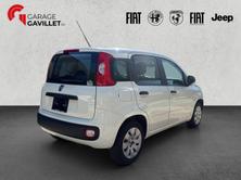 FIAT Panda 1.2 69 Cool, Benzin, Occasion / Gebraucht, Handschaltung - 6