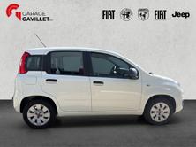 FIAT Panda 1.2 69 Cool, Benzin, Occasion / Gebraucht, Handschaltung - 7