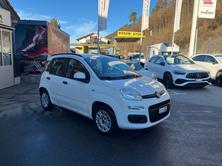 FIAT PANDA 0.9 T TwinAir Lounge S/S Dual., Benzin, Occasion / Gebraucht, Automatik - 7