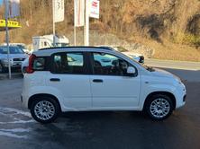 FIAT PANDA 0.9 T TwinAir Lounge S/S Dual., Benzin, Occasion / Gebraucht, Automatik - 6