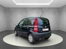 FIAT 1.1 Active, Benzina, Occasioni / Usate, Manuale - 6
