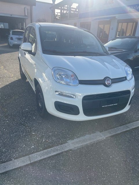 FIAT PANDA 1.2 69 Young, Petrol, Second hand / Used, Manual - 5