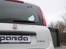 FIAT Panda 1.0 Hybrid Cult, Mild-Hybrid Benzin/Elektro, Vorführwagen, Handschaltung - 5