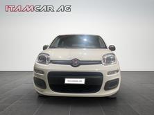 FIAT Panda 1.0 Hybrid City Life, Hybride Leggero Benzina/Elettrica, Auto dimostrativa, Manuale - 2