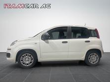 FIAT Panda 1.0 Hybrid City Life, Hybride Leggero Benzina/Elettrica, Auto dimostrativa, Manuale - 3