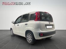 FIAT Panda 1.0 Hybrid City Life, Hybride Leggero Benzina/Elettrica, Auto dimostrativa, Manuale - 4
