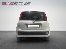 FIAT Panda 1.0 Hybrid City Life, Hybride Leggero Benzina/Elettrica, Auto dimostrativa, Manuale - 5