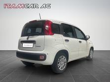 FIAT Panda 1.0 Hybrid City Life, Hybride Leggero Benzina/Elettrica, Auto dimostrativa, Manuale - 6